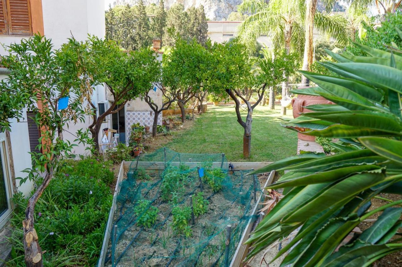 Villa Caterina - Solemar Sicilia 체팔루 외부 사진